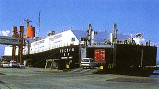 �J�[�t�F���[�ʐ^