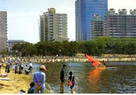 �����E�����C�l����