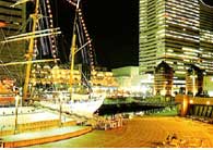 ���l�`�E���{�ۃ������A���p�[�N