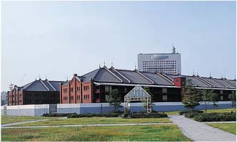 �ԃ����K�q��