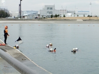 人工海浜（かわさきの浜）にて、川崎市消防局・幸消防署による水難救助訓練が行われました。