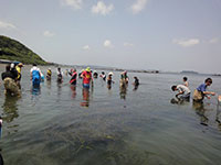 �����C�݂ɂ�����A�}���̉Ԏ}�̎�B�i�_�ސ쌧���{��s�j