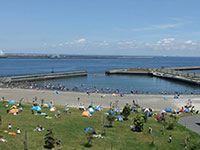 ����������̐l�H�C�l�B���s�ɖ�T�O�N�U��ɕ����������l�ł��B�i�_�ސ쌧���s�j